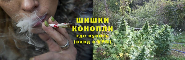 эйфоретик Новозыбков