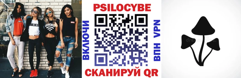 Псилоцибиновые грибы Psilocybine cubensis  Богданович 