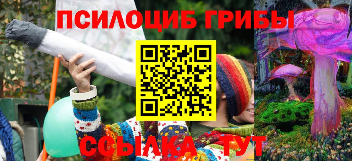 Галлюциногенные грибы Psilocybine cubensis  Богданович 