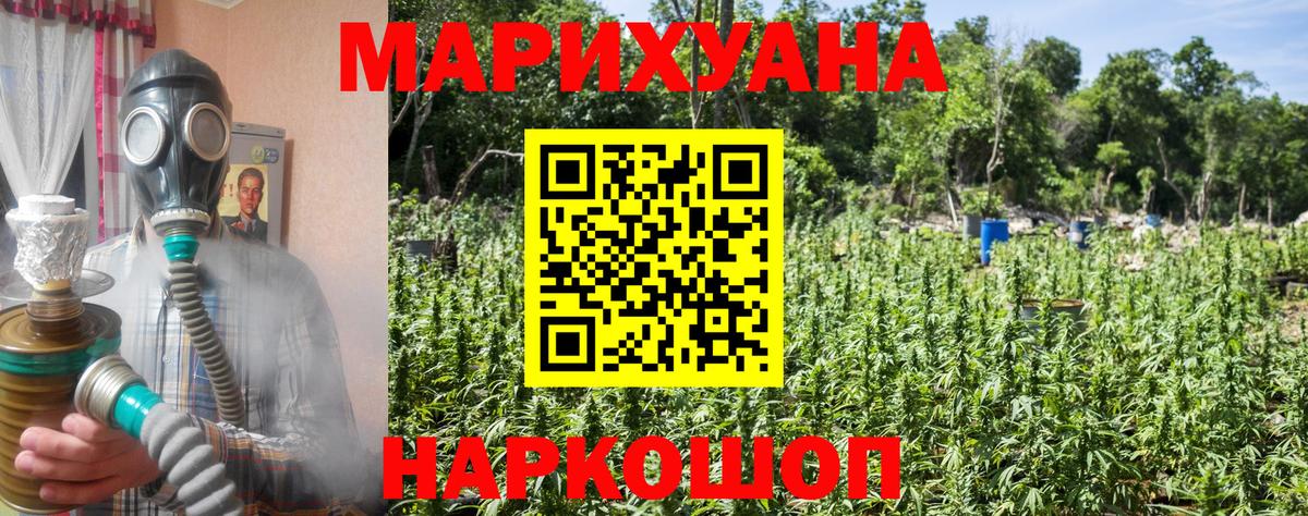 МАРИХУАНА планчик Богданович